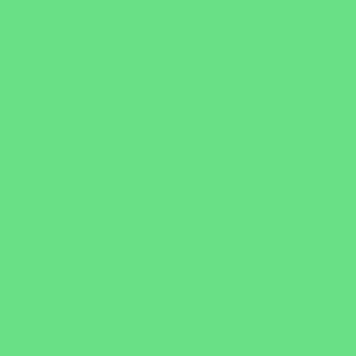 fuga eius ut