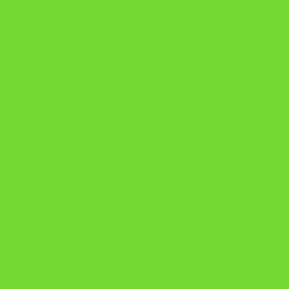 ipsum