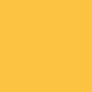 saepe ipsum